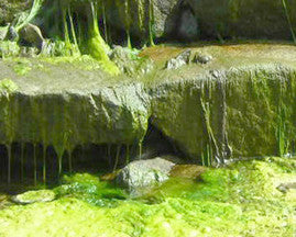 Rock and gravel pondless waterfall reservoir basin based pondless waterfall kits grow excessive algae