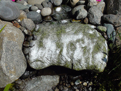 Hydro Vescense rock cleaner going to work on a waterfall stone