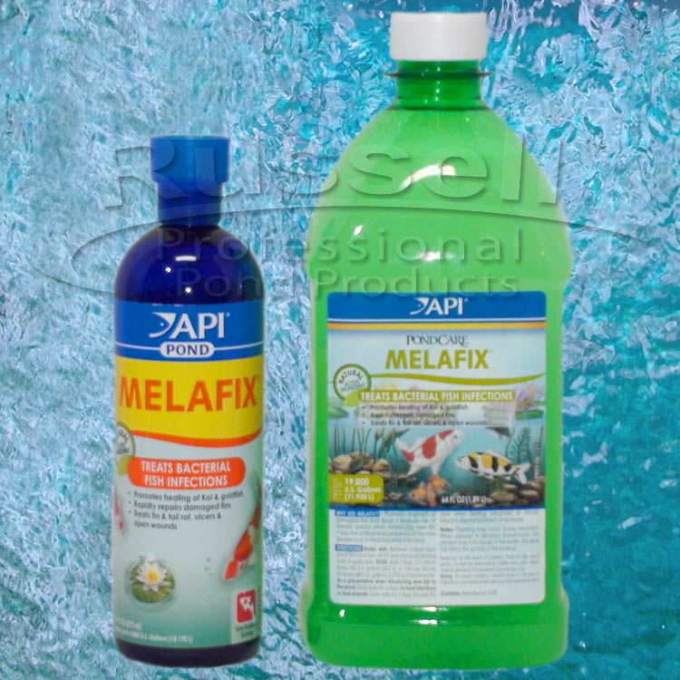 Melafix Fish Bacterial Infection Treatment. Treats Ulcers ...