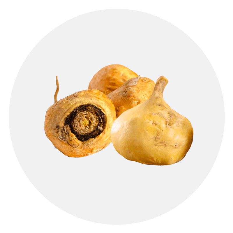 maca root for ADHD