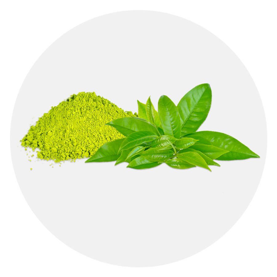 matcha powder and green tea leaves