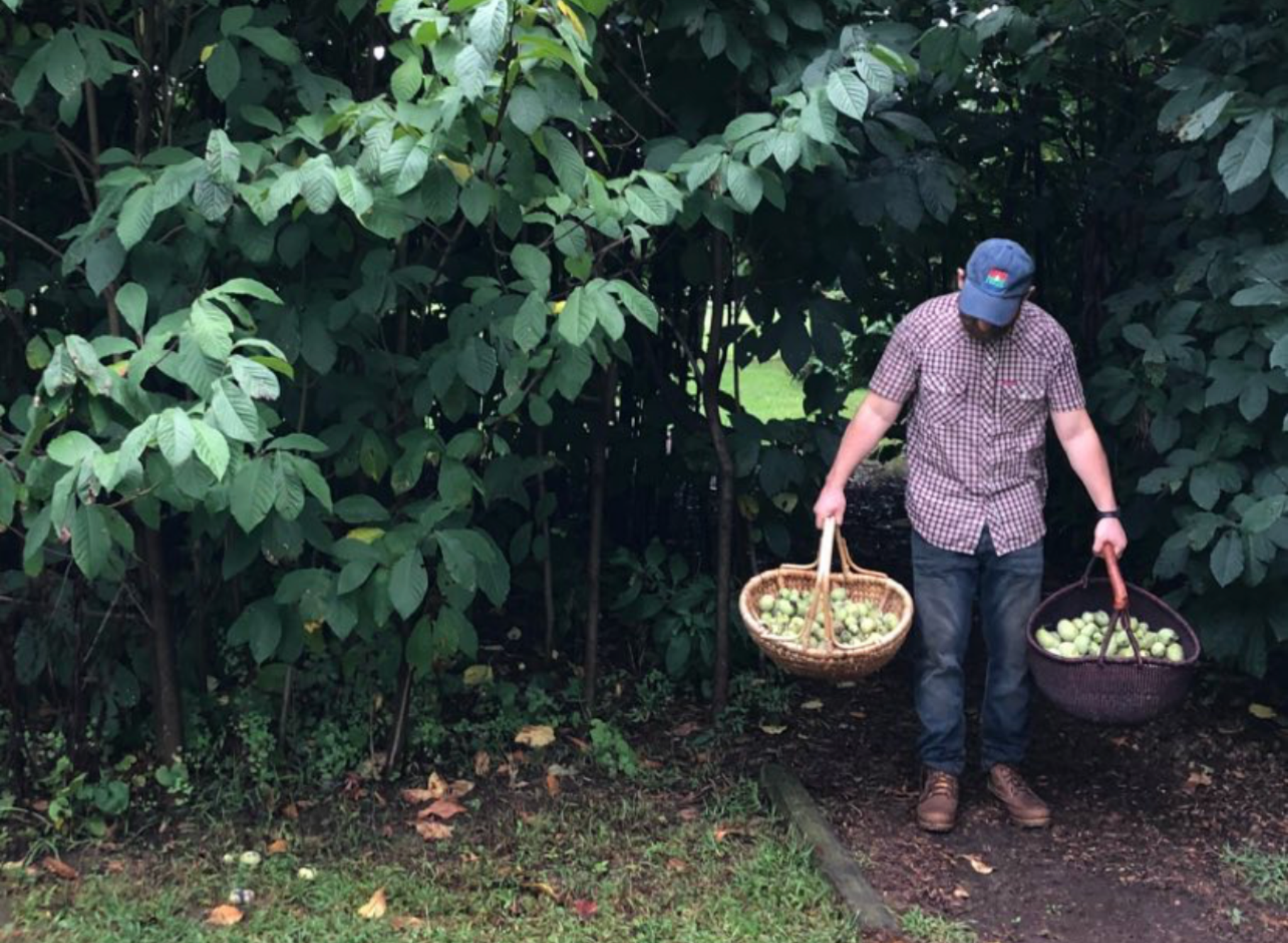 Danny Childs Foraging