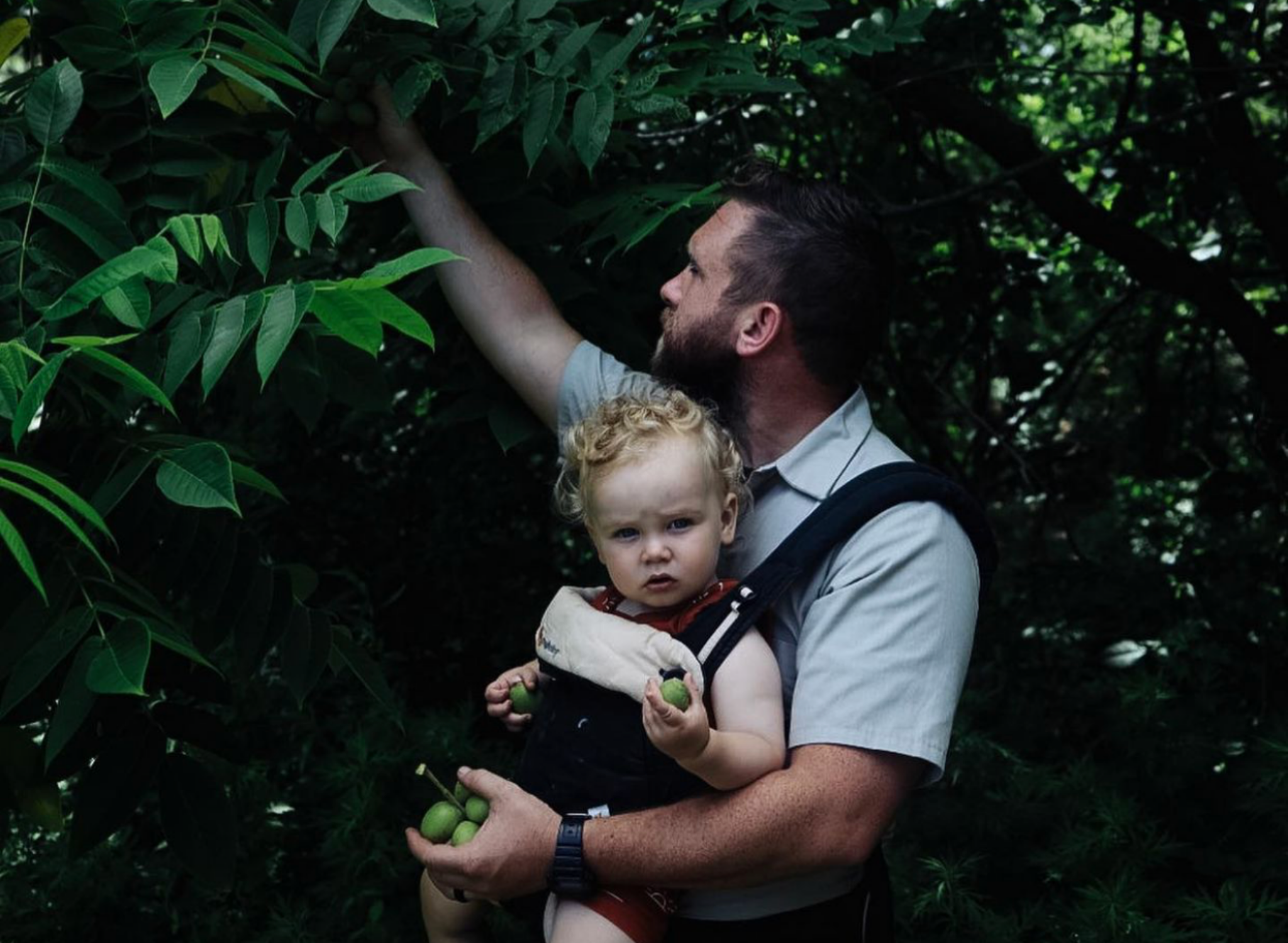 Danny Childs Foraging