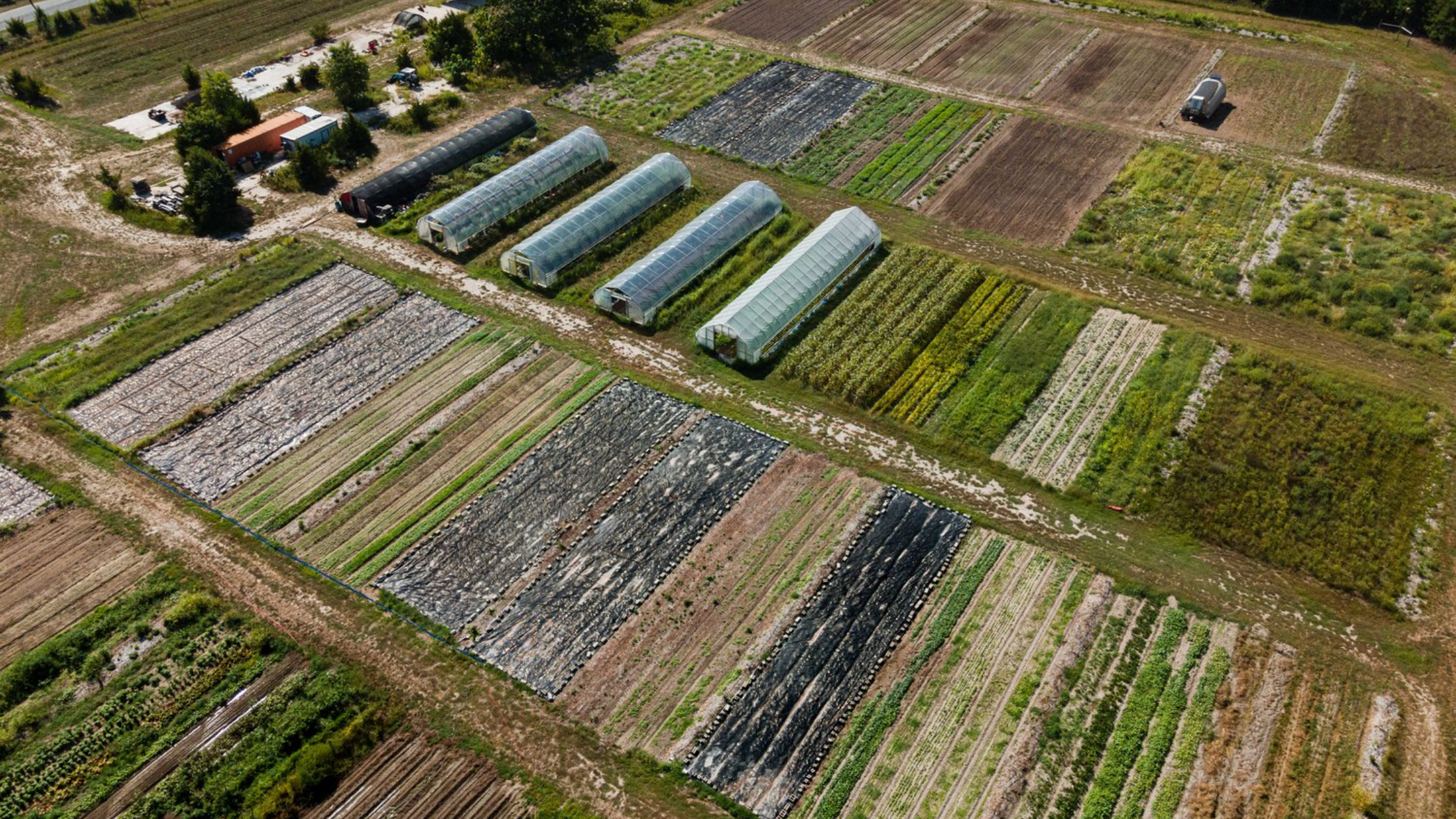 Potato Homestead