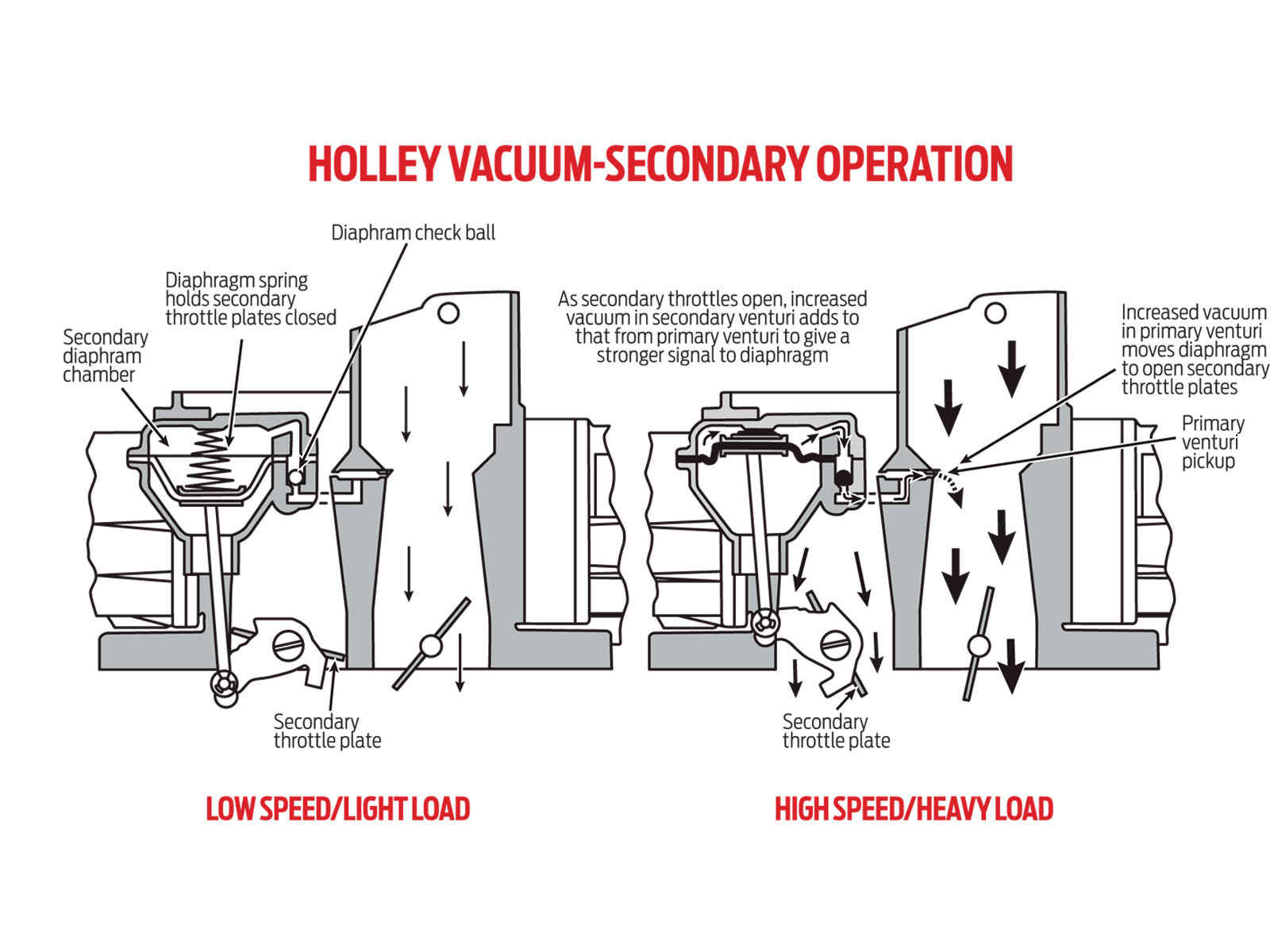 Holley Identification Chart