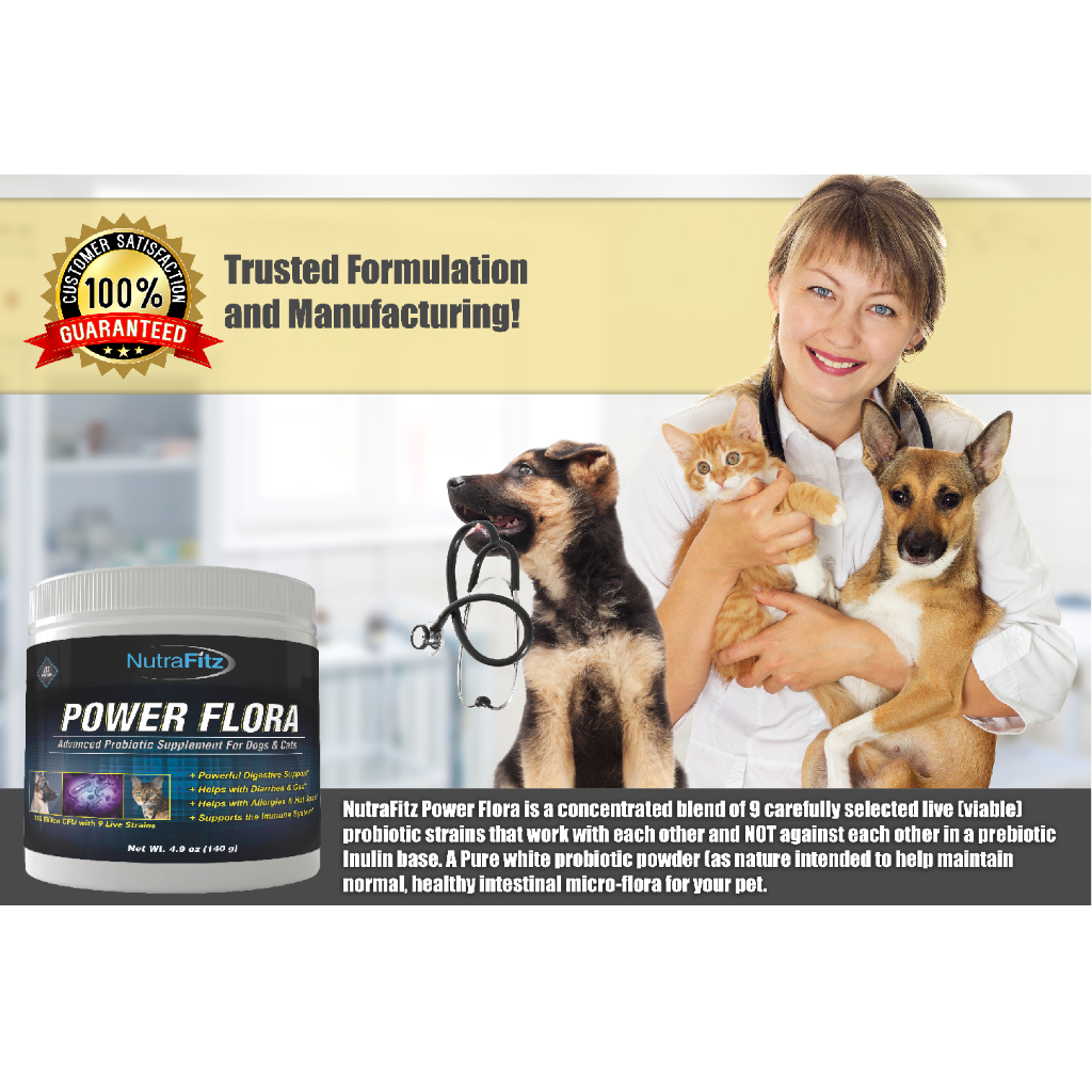 can uti in dogs cause constipation