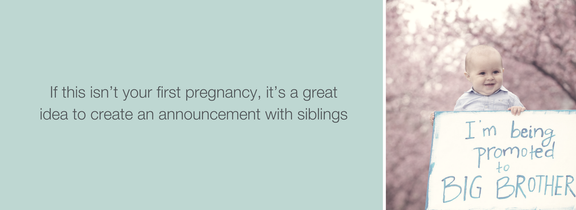 The first thing you want to do when you find out you’re expecting is to tell everyone you know. There are so many baby announcement ideas out there, it’s hard to narrow it down to just one. We’ve compiled the top ways to announce your pregnancy – creative ideas for your husband, for your family & for your friends. If this isn’t your first pregnancy, it’s a great idea to create an announcement with siblings (even with dog siblings too)!  Click to check it out! #BubziCo #NewMom #BabyReveal