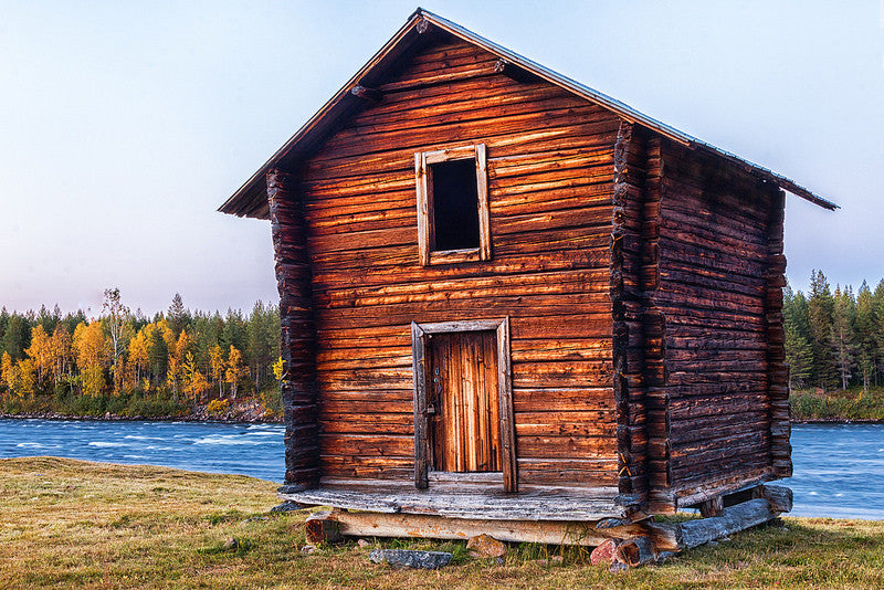 Top 7 Ways To Protect Your Log Home From Pests Weatherall