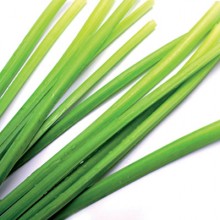 Lemongrass essential oil