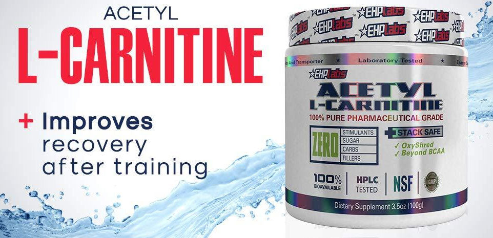 Acetyl L-Carnitine – Supps42