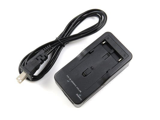 Sony Power Charger + 4 AA CycleEnergy Baterías recargables - BGS