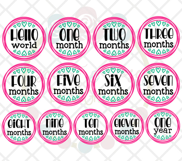 Baby Girl Milestone Set SVG DXF PNG - Scout and Rose Design Co