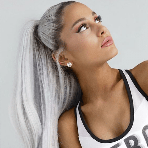 Ariana Grande Silver Wig