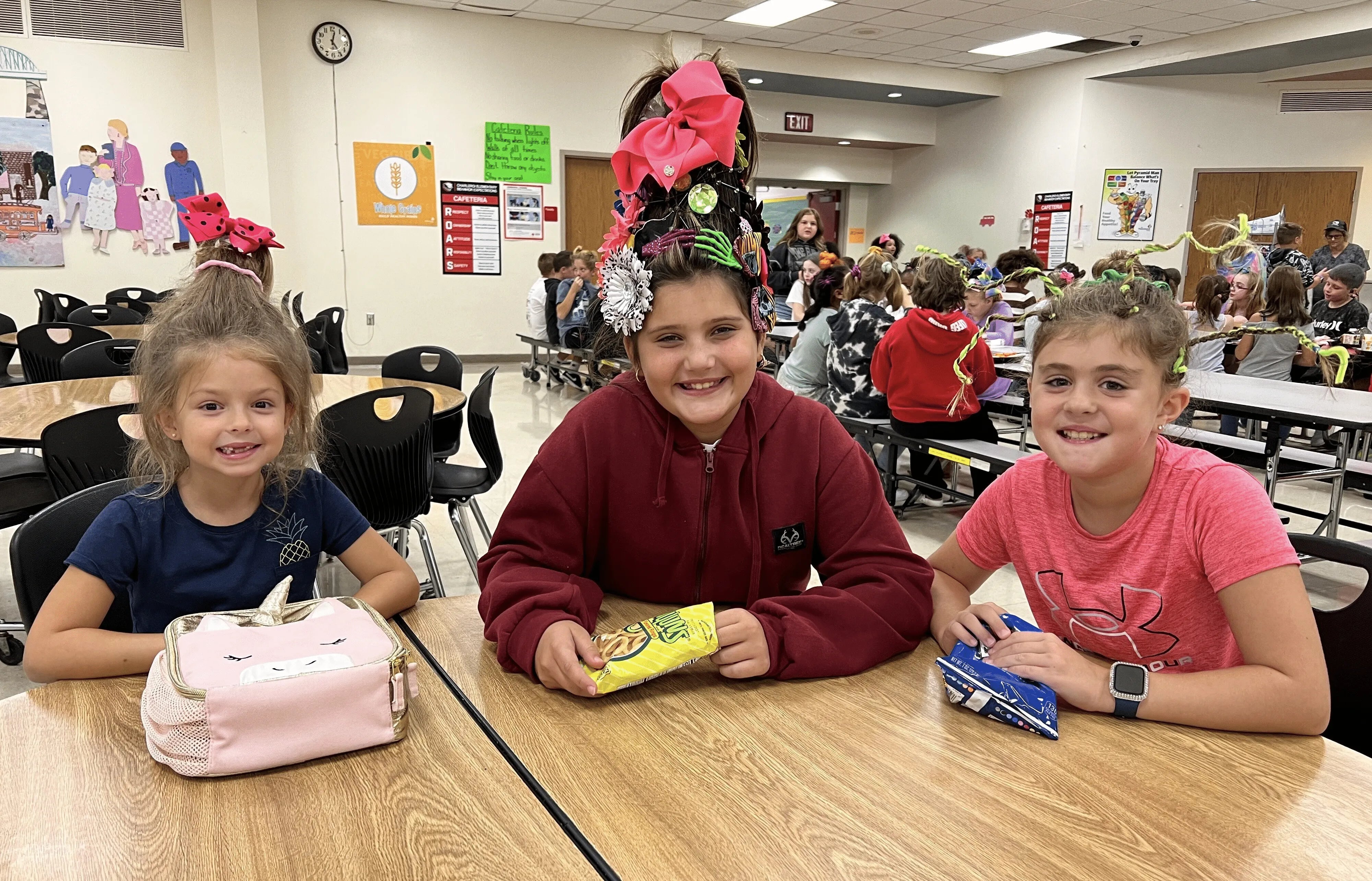 Crazy Hair Day at Schools