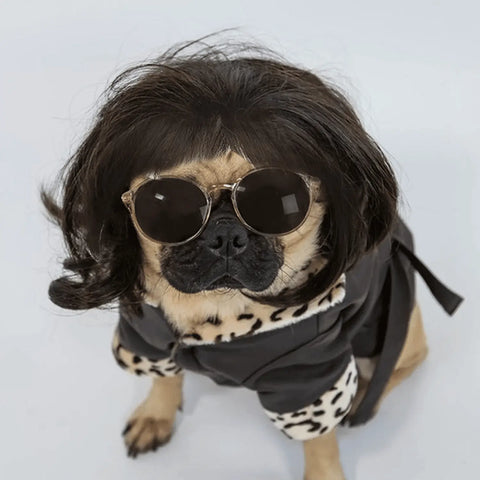 Dog with Black Wig