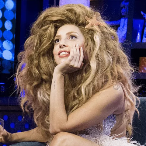 Lady Gaga wig