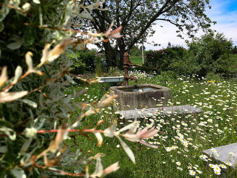 Naturgarten mit Steinbrunnen