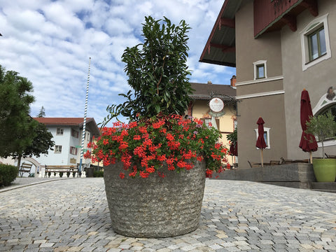 Steinbrunnen bepflanzt