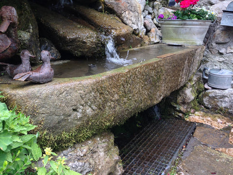 Steintrog mit Regenwasser