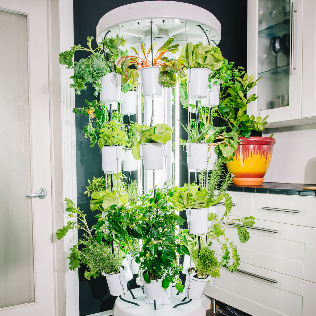 Nutritower 32 plant Vertical Hydroponic  Indoor Gardening 