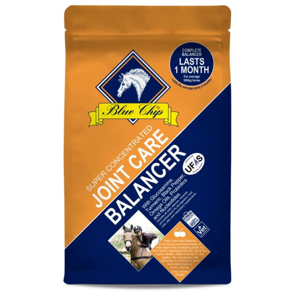 Blue Chip Feeds Super Concentrated Joint Care Balancer Turmeric Horse Supplement