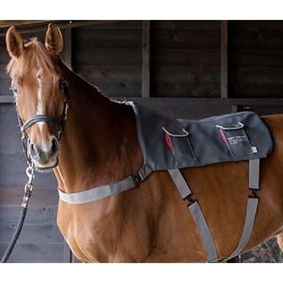 https://cdn.shopify.com/s/files/1/1720/8889/files/equilibrium-massage-pad-horse-back-circulation-muscle-relax-pony-standard-and-xl-other-therapy-cork-farm-equestrian-171.jpg