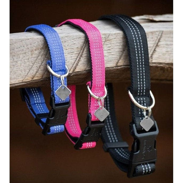 LeMieux Henley Bungee Dog Collar Adjustable Soft Padded Comfort Durable Webbing