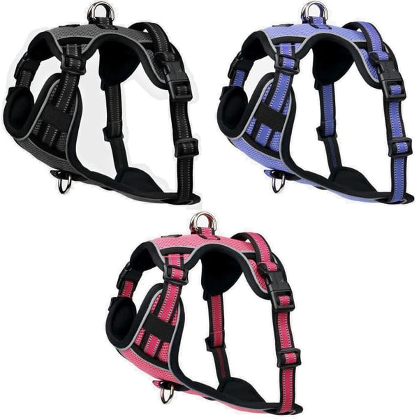 LeMieux Winchester Dog Harness Lightweight Soft Padded Mesh Walking and Car Travel