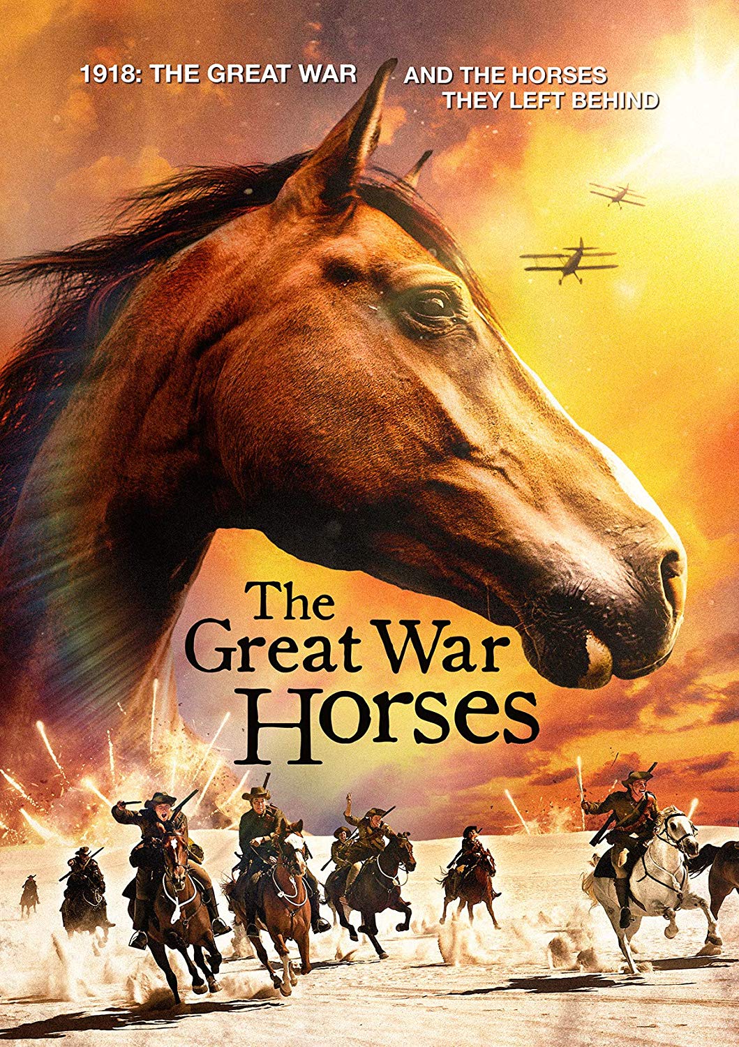 Click to view product details and reviews for Great War Horses The Fate Of 1918 Dvd.