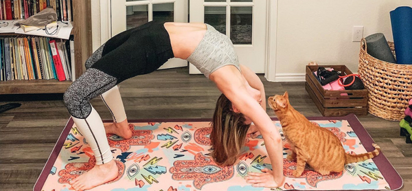 yoga pose with cat and red mat