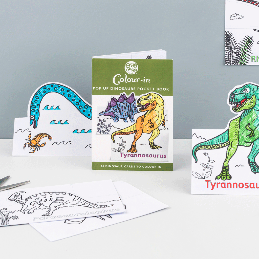 Pop up Dinosaurs Pocket Book - 24 Dinosaurs to colour in – Salts Mill Shop