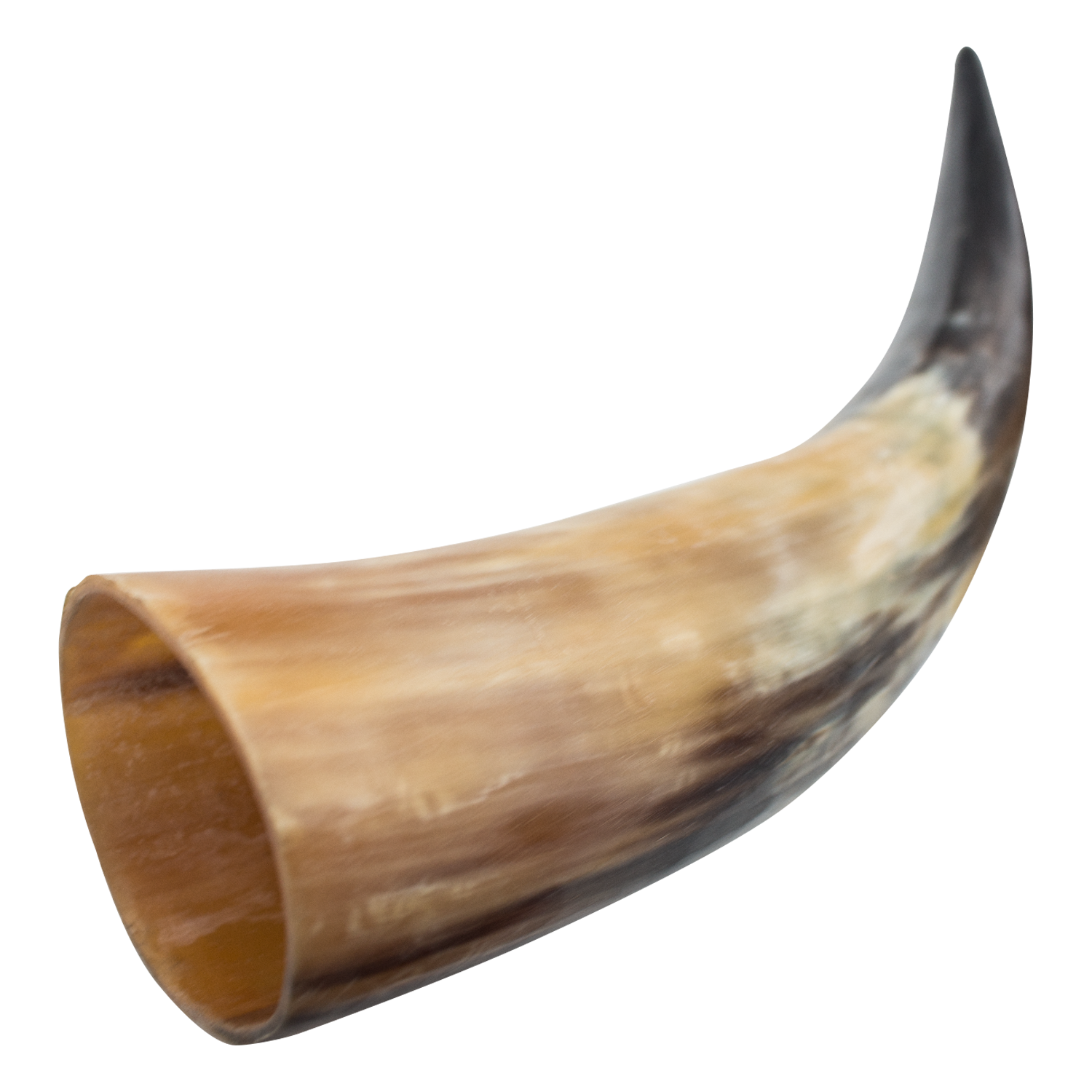 Medieval Animal Drinking Horn (Real Animal Horn) Panther Wholesale