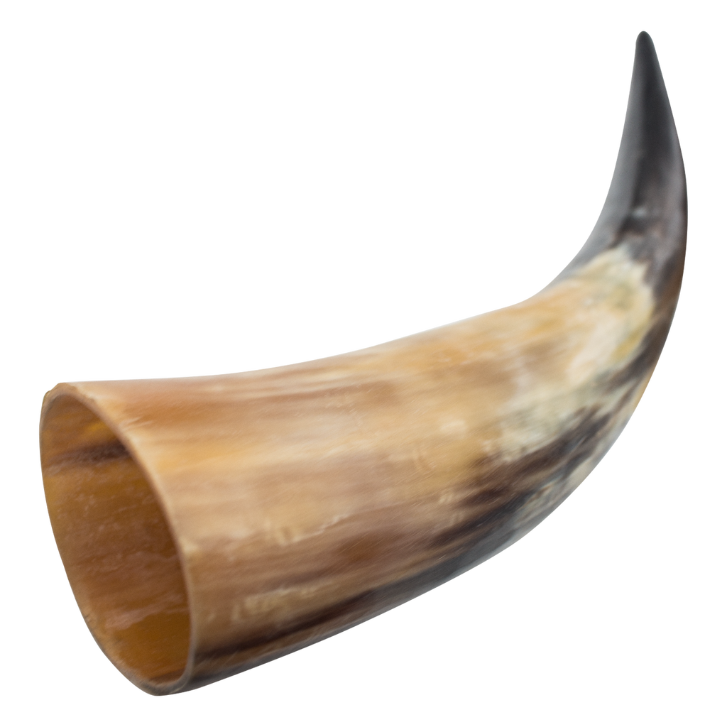 Medieval Animal Drinking Horn (Real Animal Horn) – Panther Wholesale