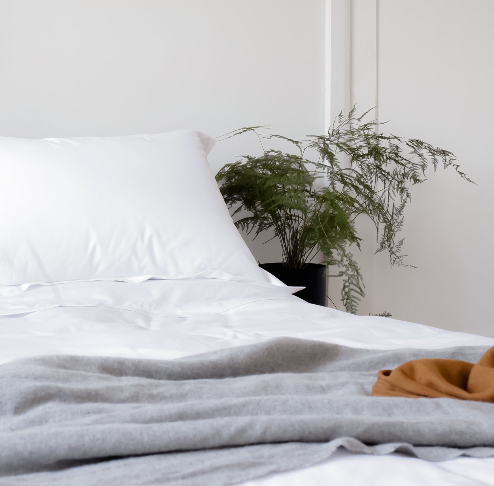 The Myth Of Anti Allergy Bedding Scooms Duvets