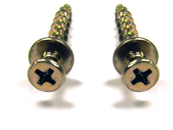 two headed screw