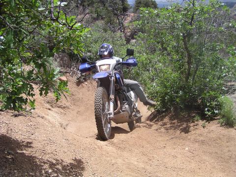 Motorcycle trail at Texas Creek