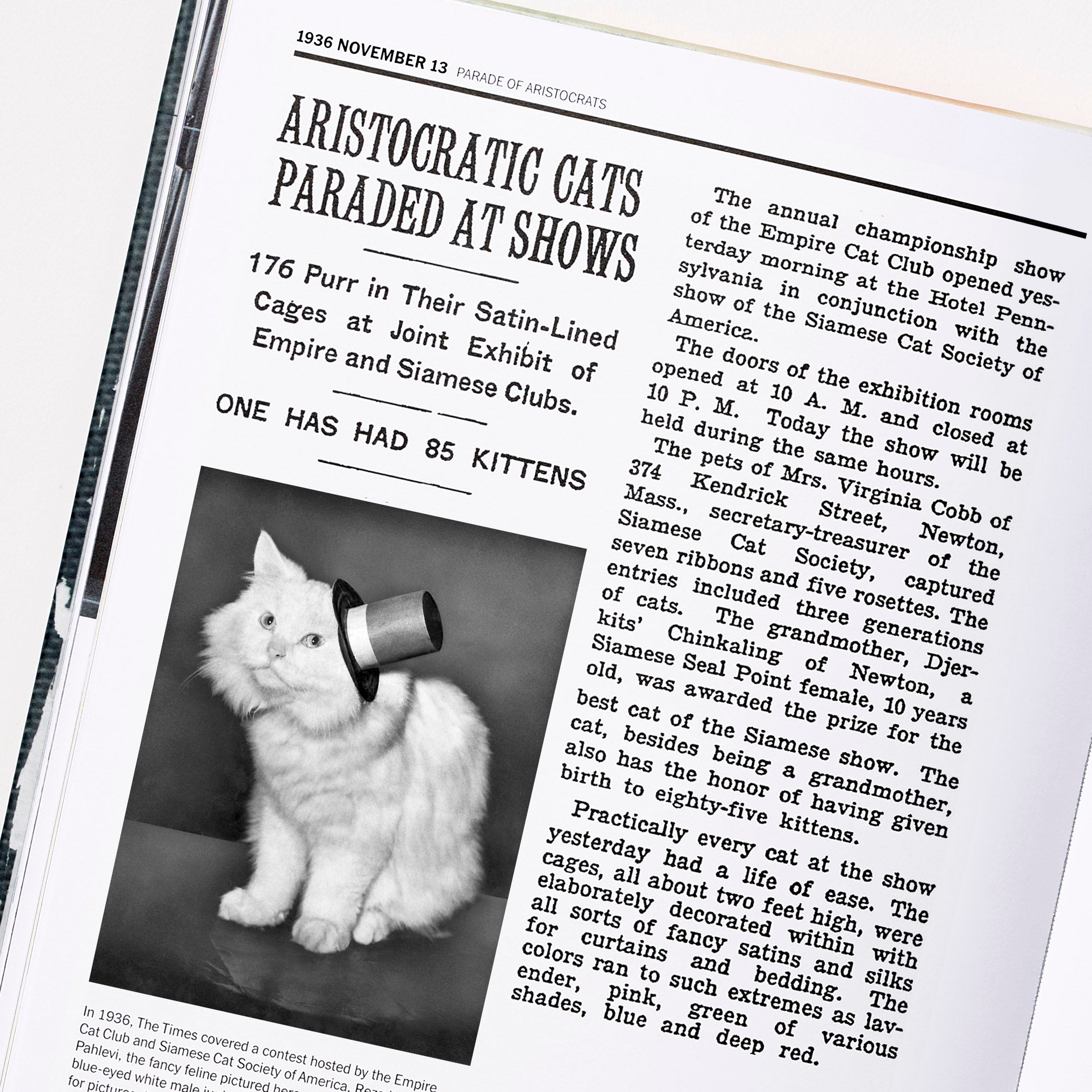 A Brief History of Literary Cats - JSTOR Daily
