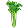 Celery