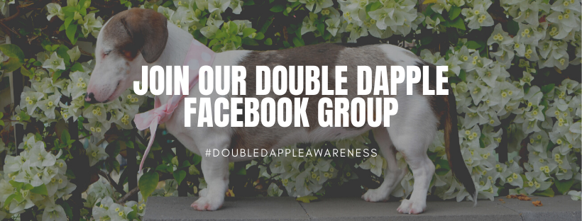 Double Dapple Awareness Facebook Group
