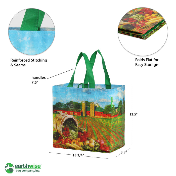 Reusable Bags: Follow these Tips from Earthwise to Protect You and the  Environment