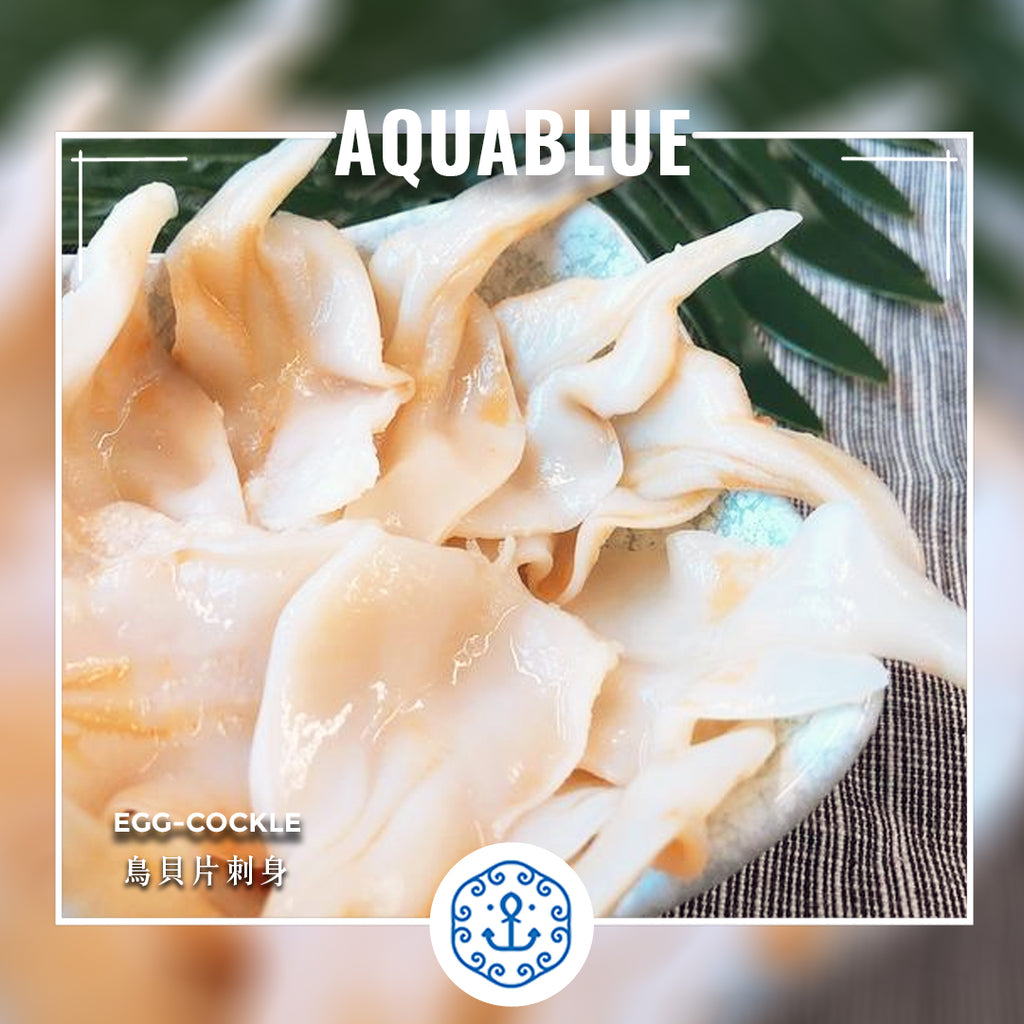 鳥貝片刺身6g 解凍即食 Egg Cockle Sashimi Edible After Thawing Aquablue 伽藍