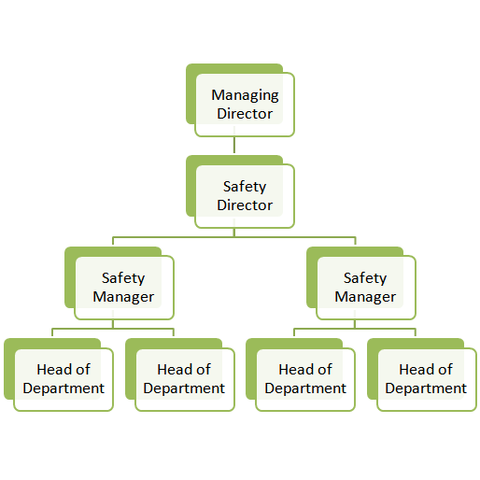 The Internal Structure of Health and Safety 