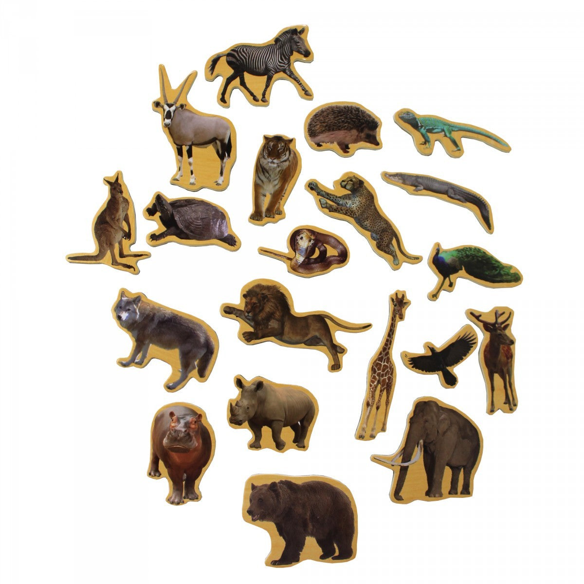 wooden magnetic animals