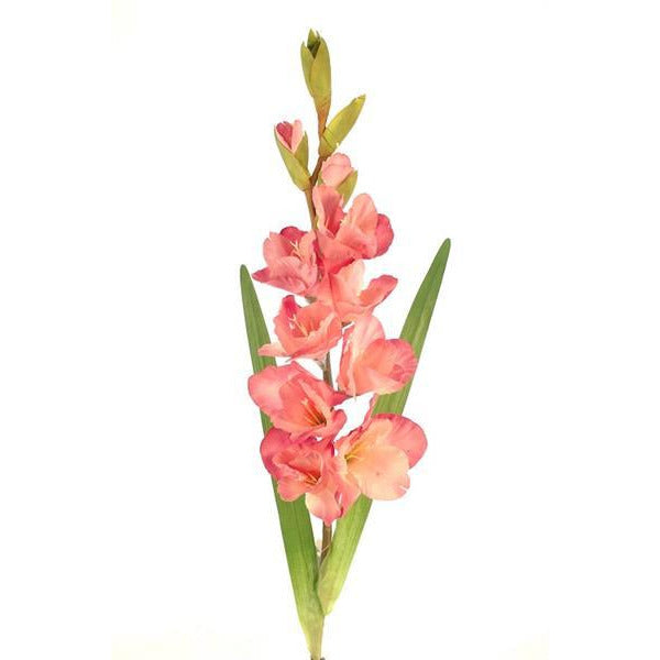 FLORES ARTIFICIALES - GLADIOLO – Kennedy Home