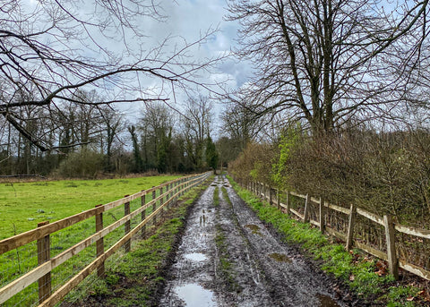 Countryside in spring