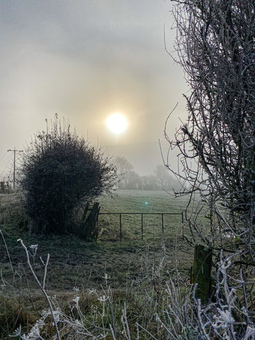 Countryside in the winter