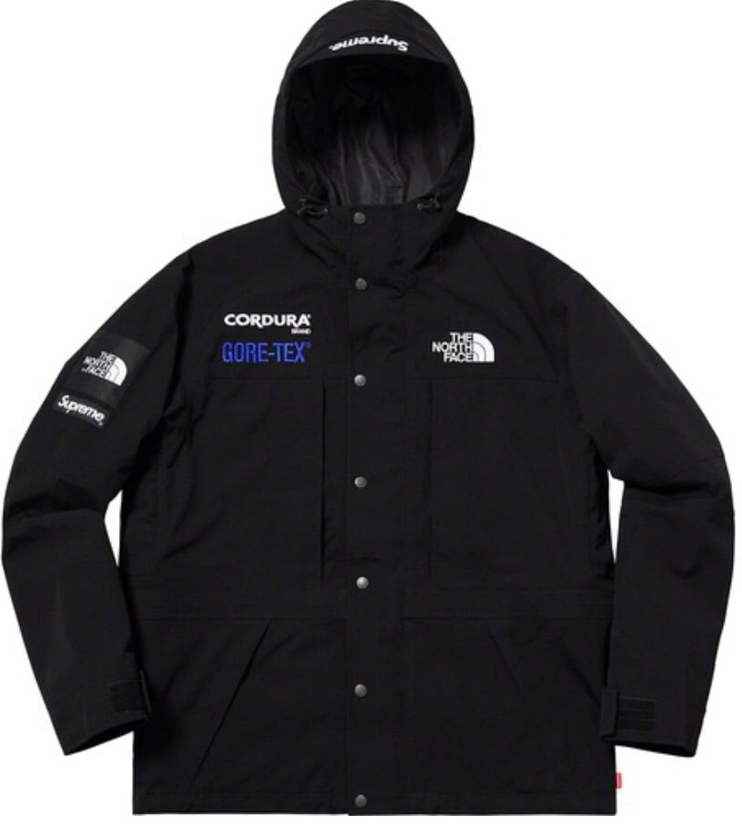 the north face expedition jacket