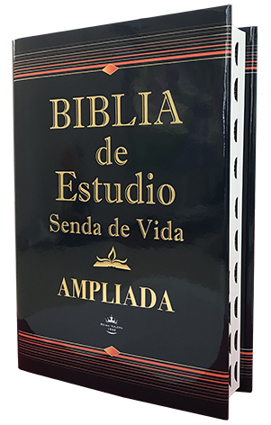 descargar biblia de estudio pdf