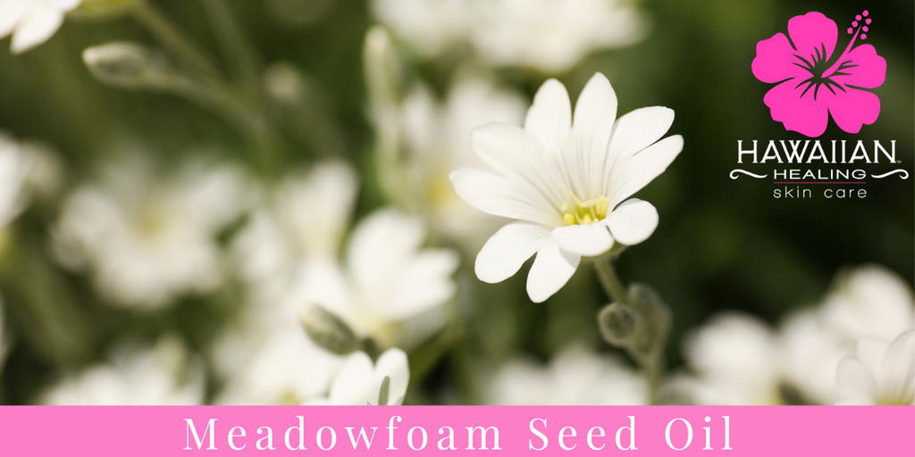 Hawaiian Healing Skin Care Meet Our Ingredients Meadowfoam Seed Oil