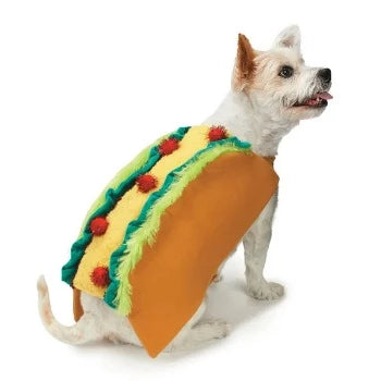 Tasty Taco Costume